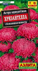 Астра Хризантелла сбежавшая невеста (Аэлита)