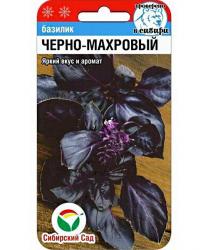 Базилик Черно-махровый (Сибирский сад)