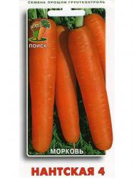 Морковь Нантская 4 (Поиск)