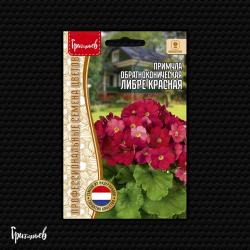 Примула Либре красная (Григорьев)