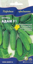 Огурец Адам F1 (Сортсемовощ)