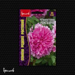 Роза кустовая Роксбурга (Григорьев)
