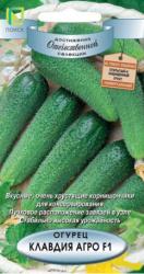 Огурец Клавдия агро  F1 (Поиск)
