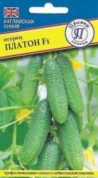 Огурец Платон F1 (Престиж)
