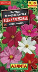 Космея Вега карликовая (Аэлита)