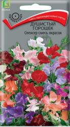 Душистый горошек Спенсер, смесь (Поиск)