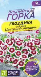 Гвоздика травянка Цветущий миндаль многолетняя (Русский огород)