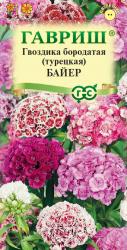 Гвоздика турецкая Байер двулетняя (Гавриш)