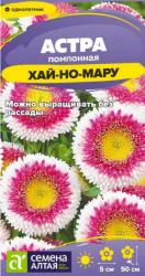 Астра Хай-но-мару (Семена Алтая)