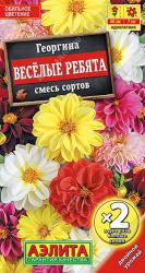 Георгина Веселые ребята, смесь (Аэлита)