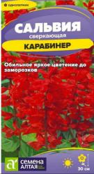 Сальвия сверкающая Карабинер (Семена Алтая)
