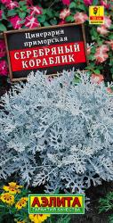 Цинерария Серебряный кораблик (Аэлита)