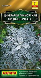 Цинерария Сильвердаст (Аэлита)