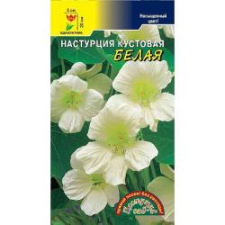 Настурция Белая роза (Цветущий сад)