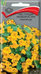 Настурция Золотой шар (Поиск)