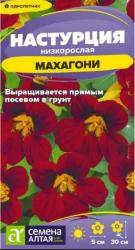 Настурция Махагони (Семена Алтая)
