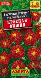 Бархатцы Красная вишня (Аэлита)
