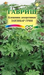 Клещевина Занзибар грин (Гавриш)