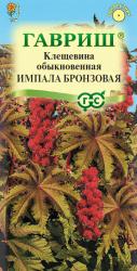 Клещевина Импала бронзовая (Гавриш)