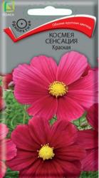 Космея Сенсация красная (Поиск)