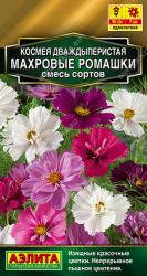 Космея Махровые ромашки (Аэлита)
