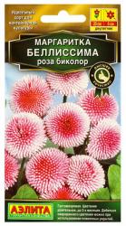 Маргаритка Беллиссима роза биколор (Аэлита)