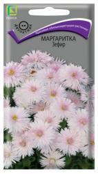 Маргаритка Зефир (Поиск)