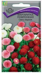 Маргаритка Помпонная, смесь (Поиск)