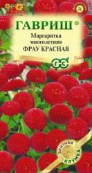 Маргаритка Фрау красная (Гавриш)