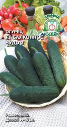 Огурец Балконное чудо 3 (Седек)