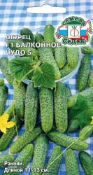 Огурец Балконное чудо 5 (Седек)
