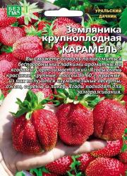 Земляника Карамель (Уральский дачник) семена