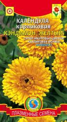Календула Кэндимэн желтый махровая (ПлазмаС)