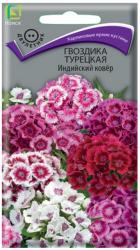 Гвоздика турецкая Индийский ковер, cмесь двулетняя (Поиск)