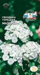 Гвоздика турецкая Мазурка двулетняя (СеДеК)