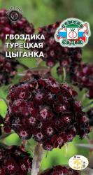 Гвоздика турецкая Цыганка двулетняя (СеДеК)