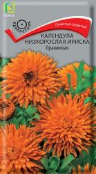 Календула Ириска оранжевая (Поиск)