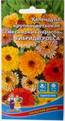 Календула Гибриды Росса, смесь (Уральский дачник)