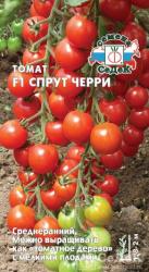 Томат F1 Спрут черри (Седек)