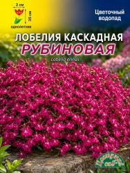 Лобелия Каскадная Рубиновая (Цветущий сад)