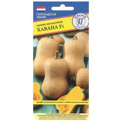 Тыква Хавана (Престиж)