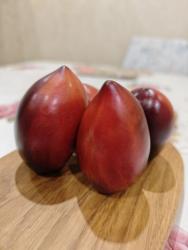 Томат Паскаль из Пикардии (Григорьев)