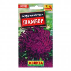 Астра Шамбор (Аэлита)