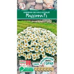 Нивяник великолепный Мадонна ( ЕвроСемена)