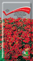 Кореопсис красильный Амулет (Поиск)
