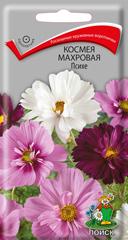 Космея Психе махровая, смесь (Поиск)