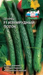 Огурец Изумрудный поток F1 (СеДеК)