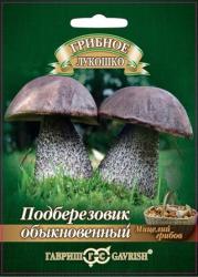 Подберезовик на субстрате (Гавриш)