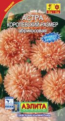 Астра Королевский размер розовая (Аэлита)