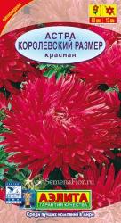 Астра Королевский размер красная (Аэлита)